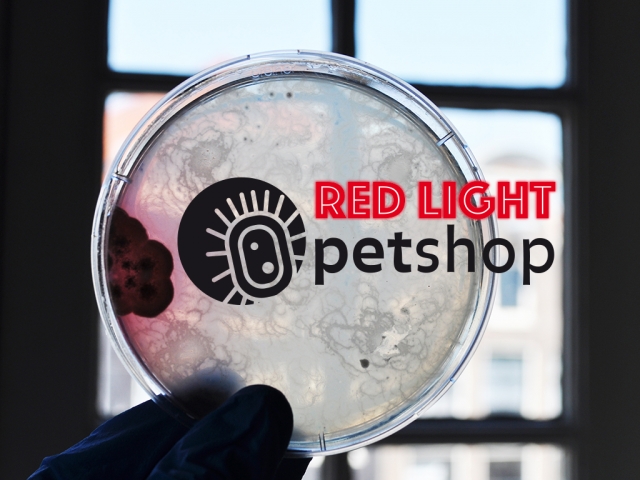 red-light-petshop-00