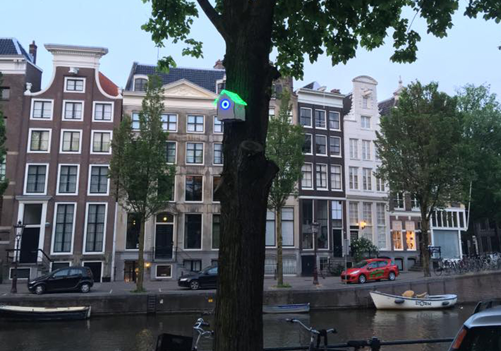 treewifi-amsterdam